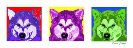 TMoody Designs - Adoptable Dog Art Collection