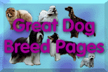 Great Breed Dog Pages